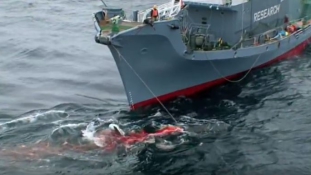 Egy japán hajóflotta 333 csukabálnát ejtett el tudományos kutatás címen az Antarktiszon