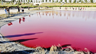 Mitől rózsaszínű egy tó vize? – videó