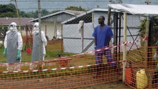 Újból kitört az ebola Kongóban