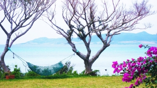 Japán egyik legszebb szigetét teleszemetelték a turisták