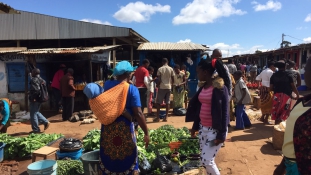 Piacozás és szafari – hétvégi pihenőn a magyar orvosok Afrikában