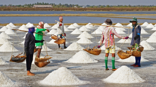 A só jó – hiánya cukorbetegséget és impotenciát okozhat