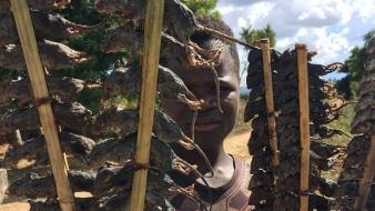 Egérből rablóhús – Malawi kedvence az egér egészben