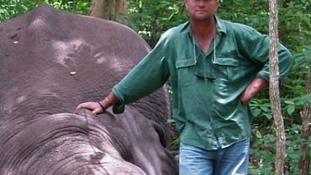Lelőtt elefánt nyomta agyon a híres dél-afrikai vadászt