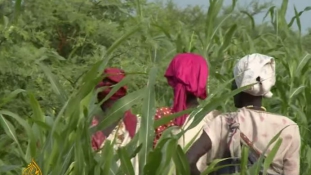 Brutális szexuális erőszakról számolnak be a dél-szudáni nők
