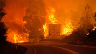 Pokollá vált az autópálya – 60 fölé nőtt az erdőtűz áldozatainak száma Portugáliában