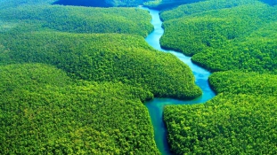 Közel 400 új fajt fedeztek fel az Amazonas-medencében két év alatt
