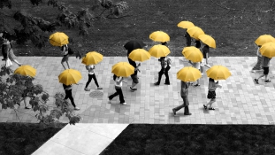 Ingyenes esernyőmegosztó program indul Kanadában