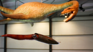 Több mint 200 millió éves plezioszauruszt rekonstruáltak Németországban