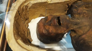 Kiállították Kairóban a sikító múmiát