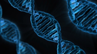 DNS tesztből megjósolható az intelligencia – állítja egy új tanulmány