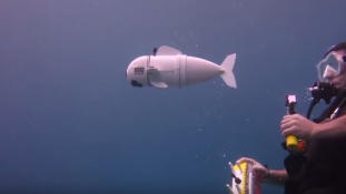 Robothal a tengerek kutatására – videó