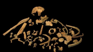 Csaknem 1 millió éves emberi állkapocscsontot találtak Európában
