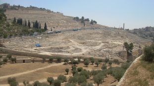 Dédanyja sírját is felkeresi Vilmos herceg, aki Izraelbe látogat