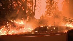 Minden idők legnagyobb tűzvésze pusztít Kaliforniában – videó