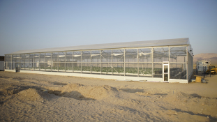Mezőgazdaság a sivatagban: így termesztenek Jordániában