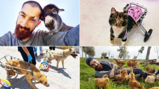 Állatoknak készít kerekesszékeket egy fiatal török férfi