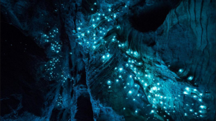 Égbolt a földfelszín alatt: Új-Zéland gyönyörű világító barlangjai