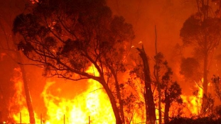 Tűzvihar Ausztráliában