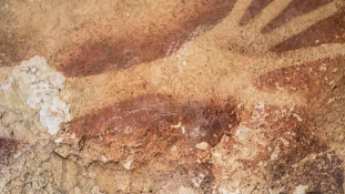 40 ezer éves barlangfestményeket fedeztek fel Borneó szigetén