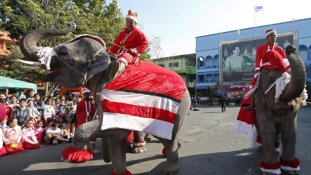 Elefánt Mikulás Thaiföldön – videó