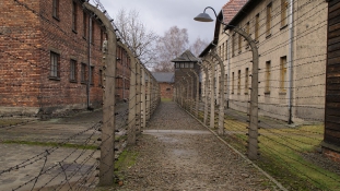 Látogatórekord Auschwitzban
