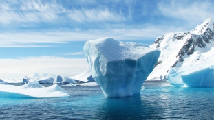Kizöldülhet az Antarktisz a klímaváltozás miatt
