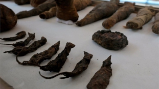 Egérmúmiákat találtak Egyiptomban