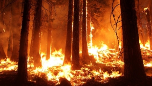 Erdőtüzek Oroszországban: már Belgium méretű terület lángol Szibériában