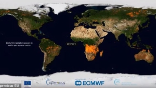 Így lángolt a Föld 2019-ben – videó
